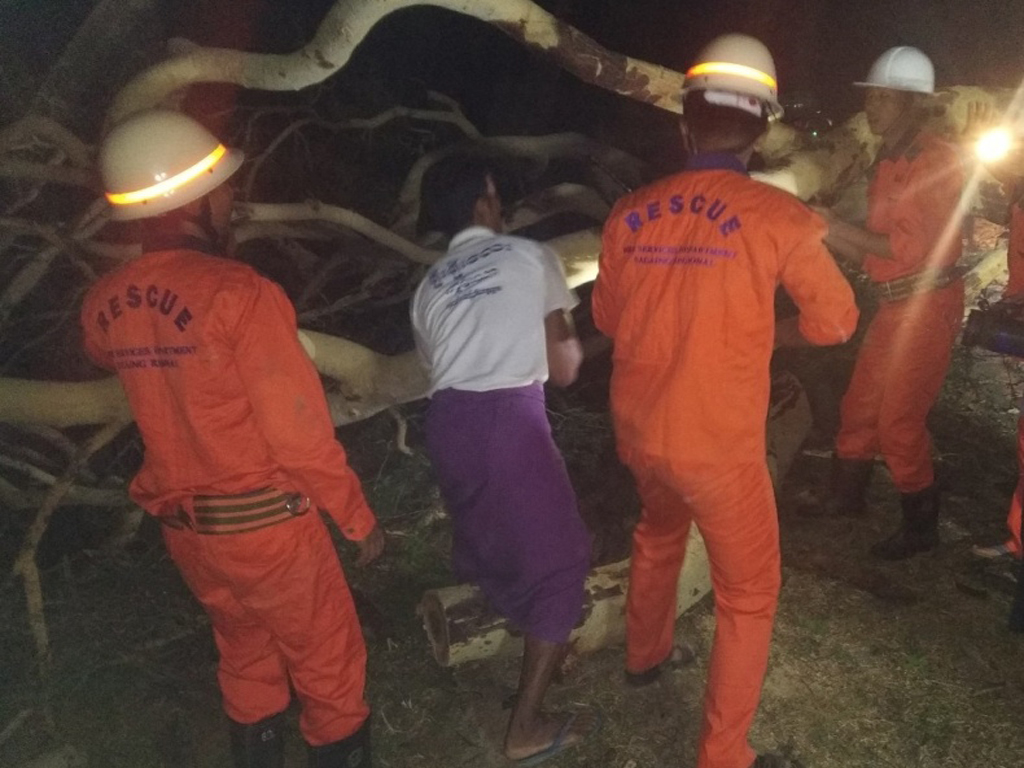 ထနောင်းပင်ကိုင်းကျိုးကြ၍ ယာဉ်ကြော ပိတ်ဆို့