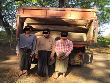 ပဲခူးတိုင်းဒေသကြီး မင်းလှမြို့နယ်၌ တရားမဝင်ကျွန်းသစ်များ ဖမ်းဆီးရမိမှု မှတ်တမ်းဓာတ်ပုံ။