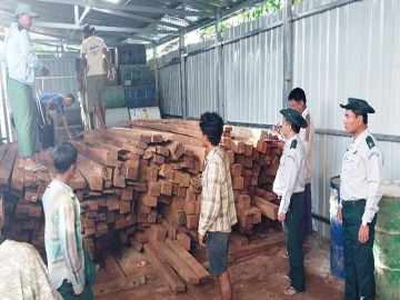 ရှမ်းပြည်နယ်၊ တောင်ကြီးမြို့နယ်၌ တရားမဝင်သစ်များ ဖမ်းဆီးရမိမှုမှ မှတ်တမ်းဓာတ်ပုံ။