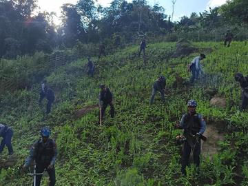 ရှမ်းပြည်နယ်၊ မိုင်းဖြတ်မြို့နယ်၌ ဘိန်းစိုက်ခင်းများ ဖျက်ဆီးမှု မှတ်တမ်းဓာတ်ပုံ။